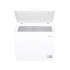 καταψύκτης Tesla RH2000HE(Freezer,198t)